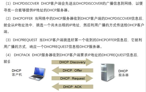计算机网络原理笔记精整理 第六章 应用层