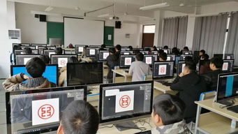 招生季，信息技术咨询服务为你护航