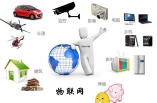 公务员考试中计算机类专业范畴与信息技术咨询服务解析